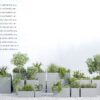 Ghiveci 11 - imagine 4